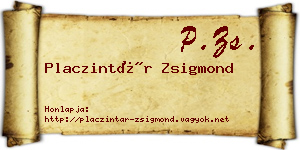 Placzintár Zsigmond névjegykártya